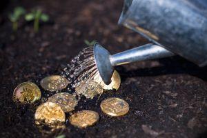 These Are 8 Biggest Crypto Funds According to a New Database