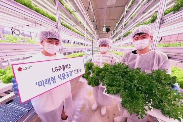 LG Shows off Blockchain-powered Farming System at Seoul Metro Station