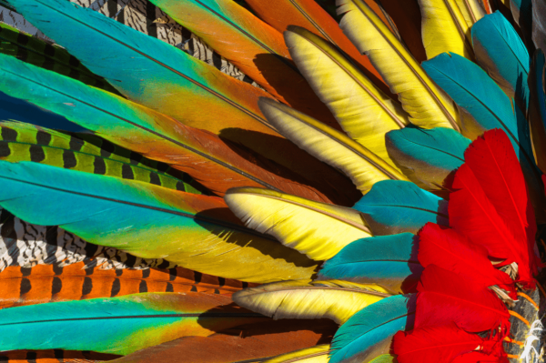 Latin American Crypto Exchange Bitso Says it Has 1M Active Users
