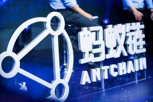 Ant Group Explains What its 100m per Day &lsquo;Digital Assets&rsquo; Uploads Are