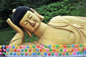 Local Stabelcoin in Sleepy South Korean County Is a Runaway Success