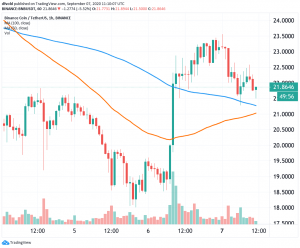 Chainlink, Binance Coin Weekend Rally Stalls On Monday