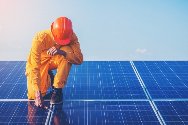 Ripple Decarbonizes, Novogratz Warns Banks Over DeFi, Salty SEC + More News