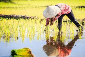 Architect of Launched Cambodian CBDC Also Working with &lsquo;Other Countries&rsquo;