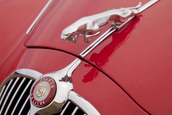 IOTA Works With Jaguar and Others on IOTA Access for Shared Devices