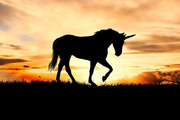 New Crypto Unicorn, Filecoins' First Exbibyte, Catching Monero + More News
