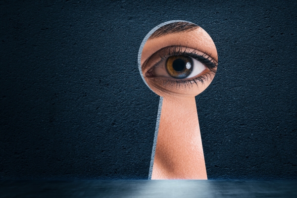 EU Resolution Draft Seeks to Bypass Encryption - Report
