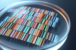 Crypto Exchange Operator Affiliate to Launch Blockchain Genome Platform