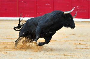 XRP Rallies While Bitcoin Hits USD 39K & Total Market Cap Smashes USD 1 Trillion