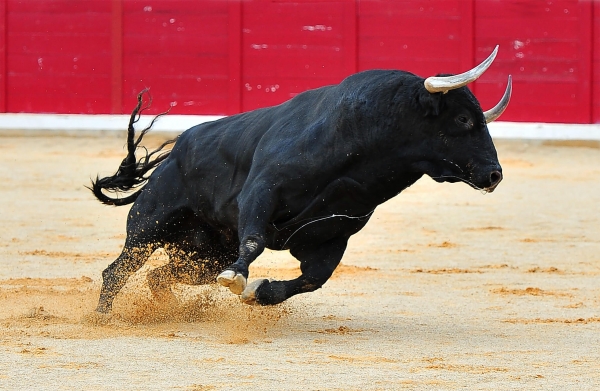 XRP Rallies While Bitcoin Hits USD 39K & Total Market Cap Smashes USD 1 Trillion