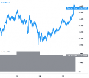 Bitcoin Now Hunts USD 25,000, Altcoins Gain Bullish Momentum