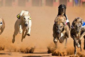 Coin Race: Top Winners/Losers of February; Binance Coin Wins the Race