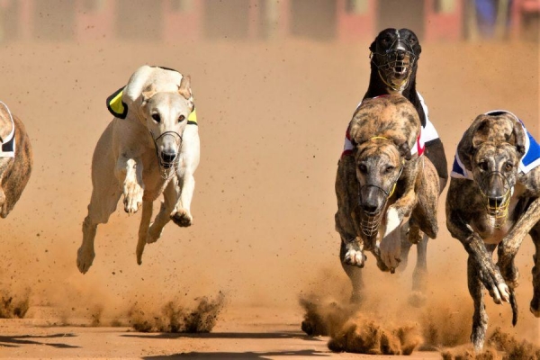 Coin Race: Top Winners/Losers of February; Binance Coin Wins the Race