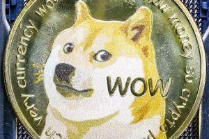 Elon Musk Offers to 'Pay Actual $' If Dogecoin Whales Empty Their Wallets