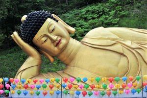 Independent Local Stablecoin Booming in South Korea&rsquo;s Buyeo