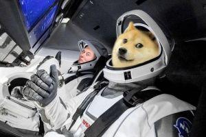 Dogecoin's Surge a Result of a Elon Musk-DogeDay-Crypto Popularity Mix