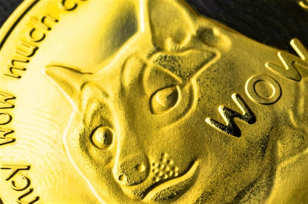 Dogecoin Tops Liquidation Charts On Elon Musk Live Weekend