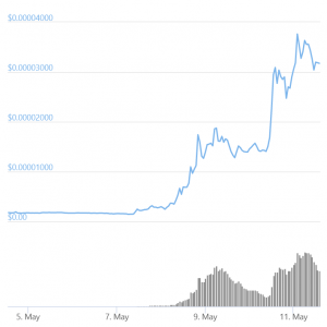 'DOGE Killer' Shiba Inu Clogs Ethereum While Musk Lifts Dogecoin Again
