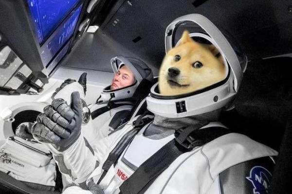 Dogecoin Fee Structure Proposal Released, Marked 'Important' by Elon Musk