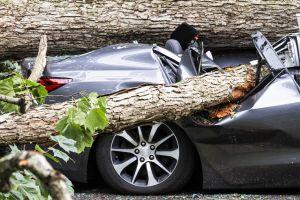 BMW, Ford, Honda to Co-work on Blockchain-powered Car Damage History Platform