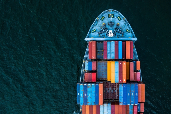 Logistics Giant Enters Blockchain Arena