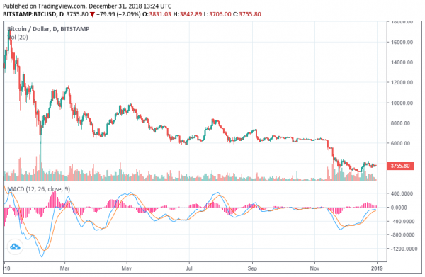 Bitcoin to End 2018 With 80% Drop, What Investors Should Expect in 2019