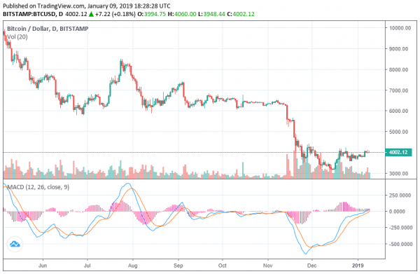 Bitcoin: Crypto Hedge Fund Says &lsquo;We&rsquo;ll See More Lows Before We Head Higher&rsquo;