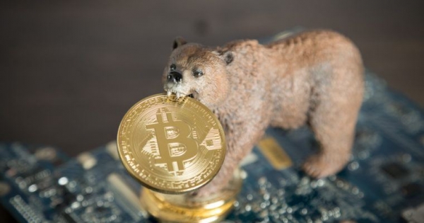 Crypto Market Up $6 Billion in 4 Days: Is Bitcoin King During the Bear Market?