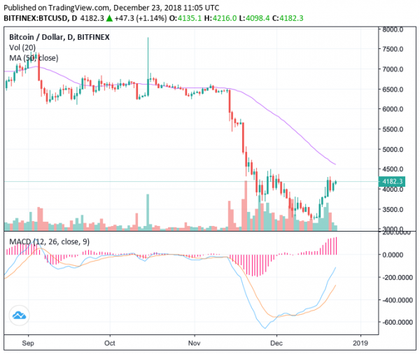 US Stock Market Chalks up Huge Weekly Losses, But Bitcoin & DXY Impress