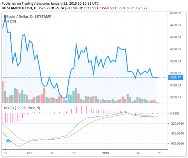 Was November the Last Big Bitcoin Sell-Off? Trader Expects Slow Grind in 2019