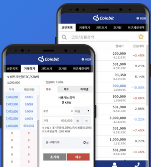 Coinbit's DEX Skyrockets by 54% Due to Investment Boost